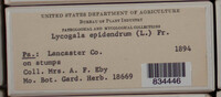 Image Associated With the Occurence